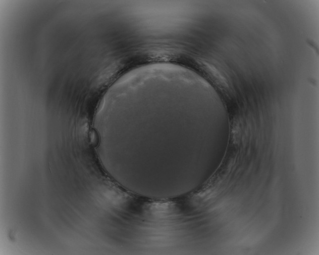 X0000091350314200708241253