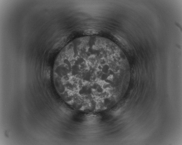 X0000091350315200708241253