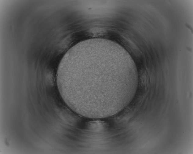 X0000091350316200708241253
