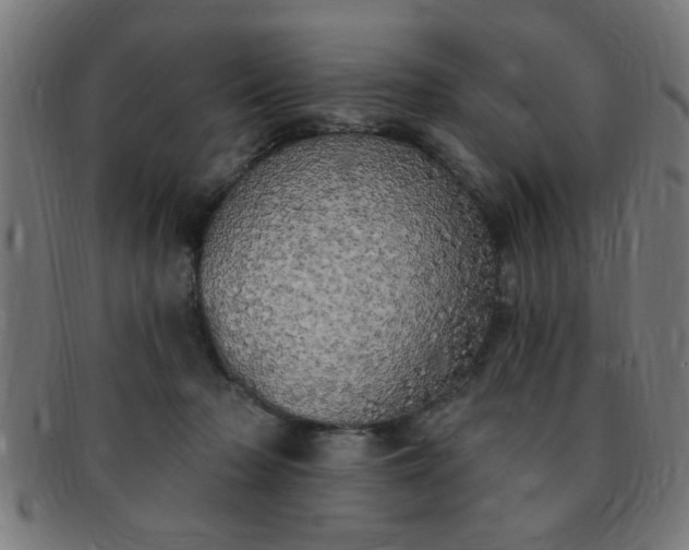 X0000091350318200708241253