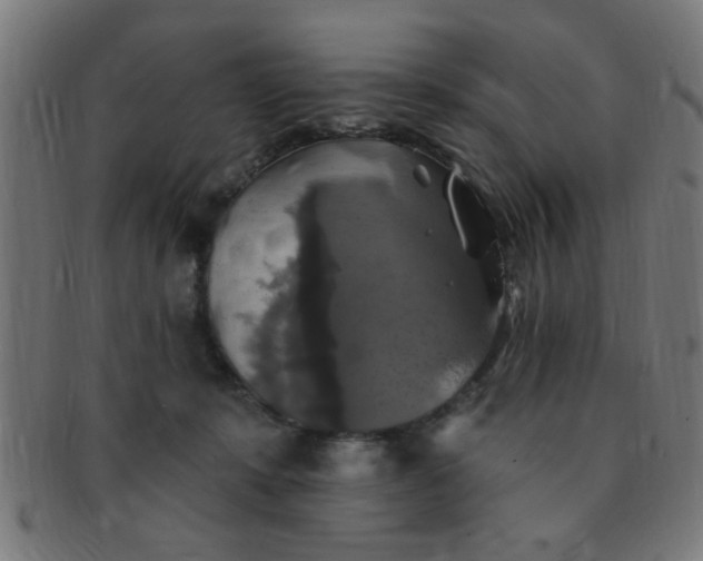 X0000091350319200708241253