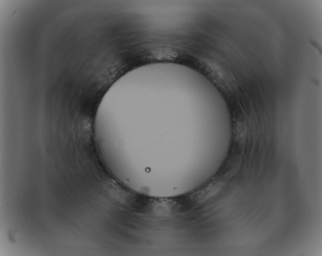 X0000091350321200708241253