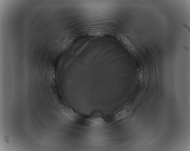 X0000091350322200708241253