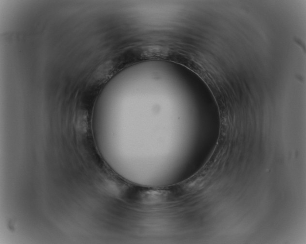 X0000091350323200708241253