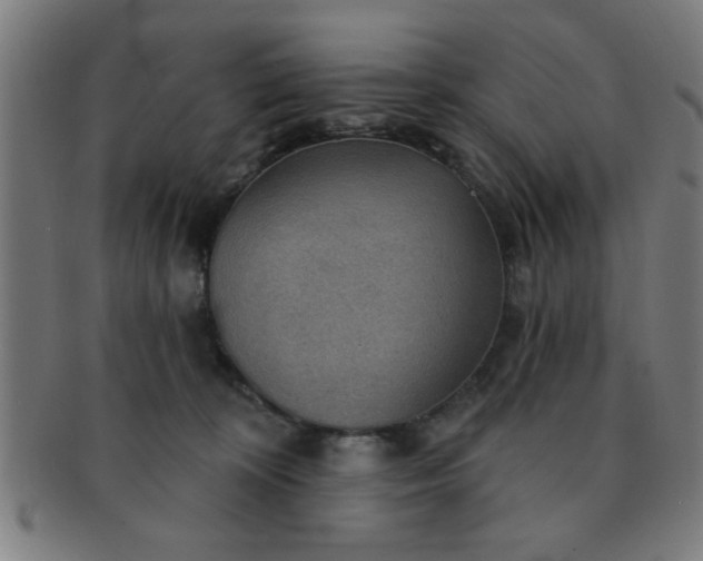 X0000091350324200708241253