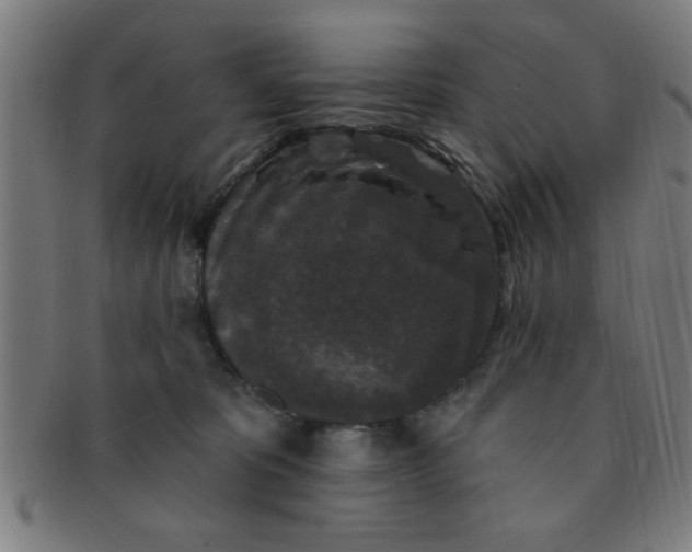 X0000091350325200708241253
