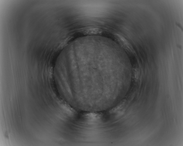X0000091350326200708241253