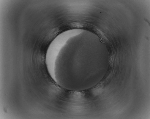 X0000091350330200708241253