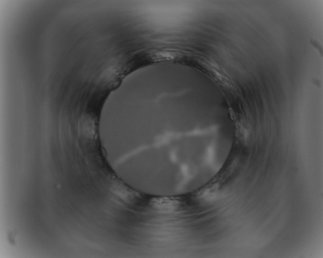 X0000091350331200708241253