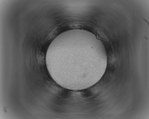 X0000091350332200708241253