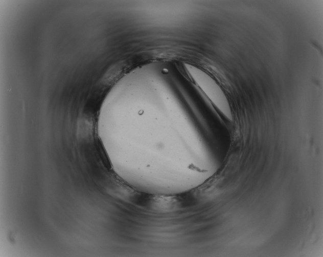 X0000091350333200708241253