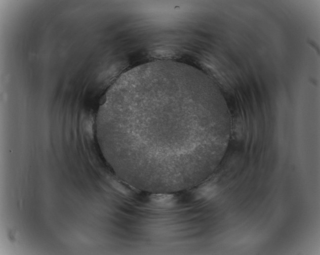 X0000091350334200708241253