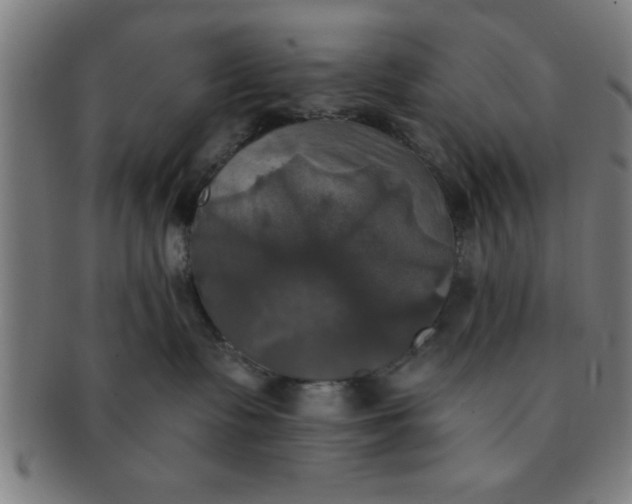 X0000091350335200708241253