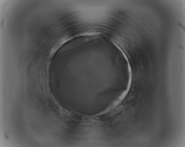 X0000091350337200708241252