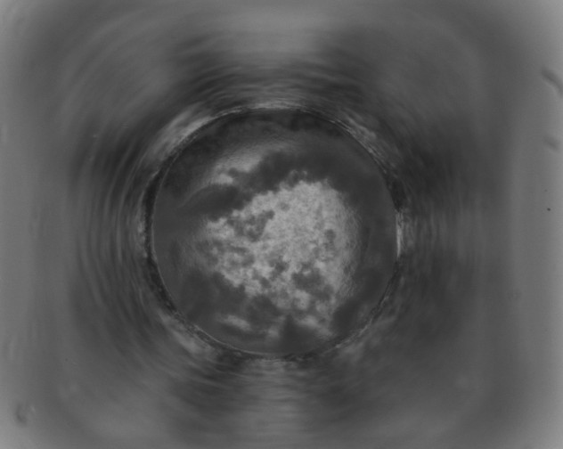 X0000091350339200708241252