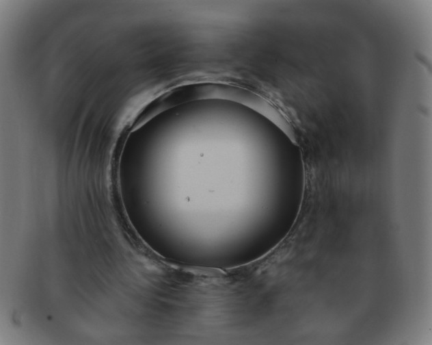 X0000091350340200708241252