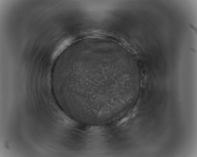 X0000091350341200708241252
