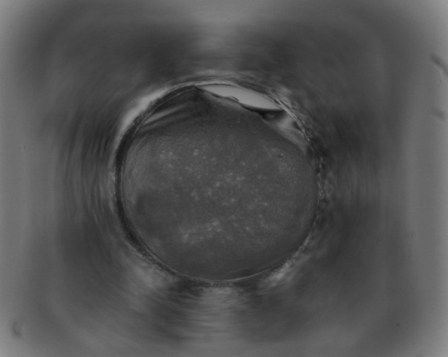 X0000091350342200708241252
