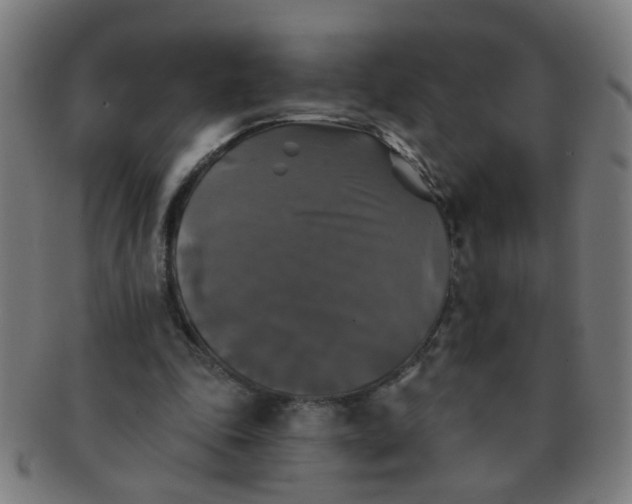 X0000091350343200708241252