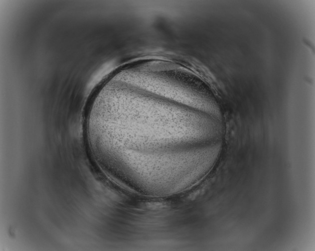 X0000091350344200708241252