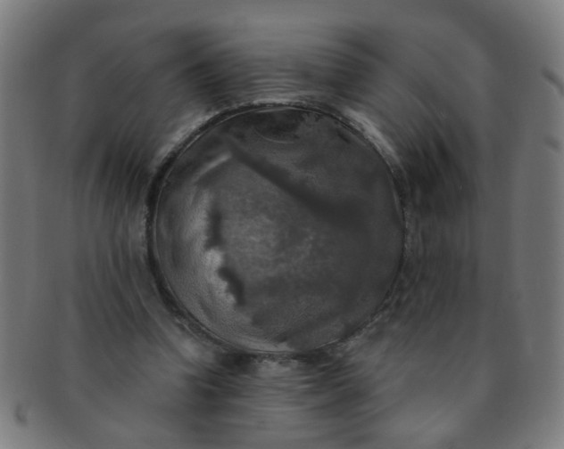 X0000091350346200708241252
