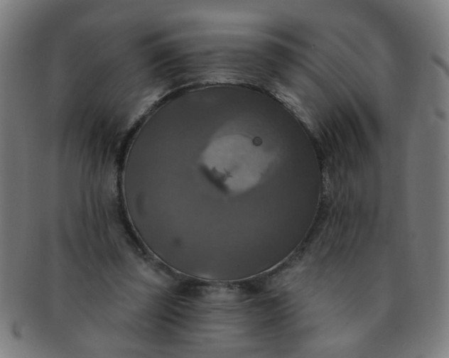 X0000091350347200708241252