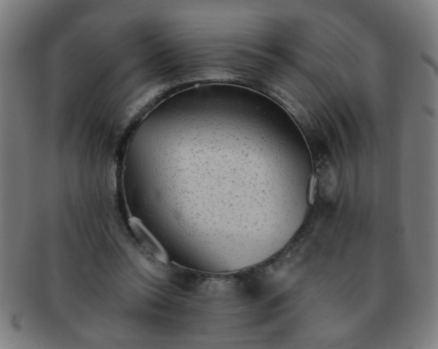 X0000091350350200708241252