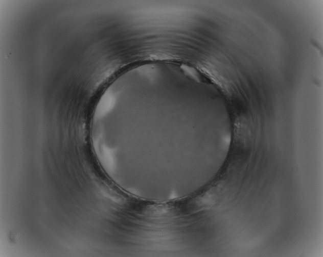 X0000091350351200708241252