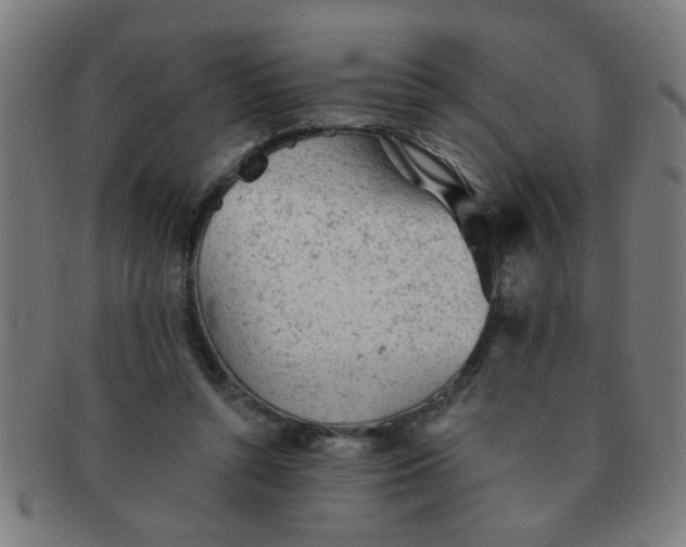 X0000091350352200708241252