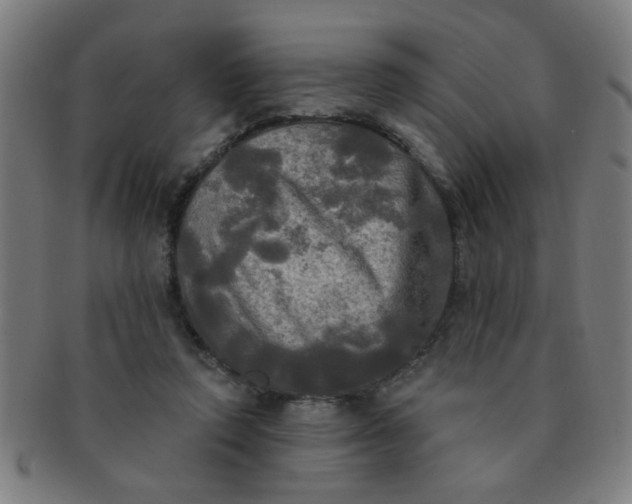 X0000091350354200708241252