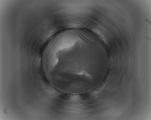 X0000091350355200708241252