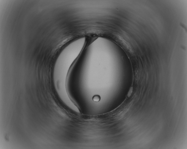 X0000091350356200708241252