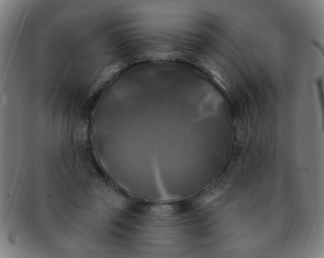 X0000091350357200708241252
