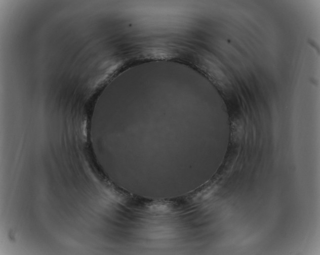 X0000091350358200708241252
