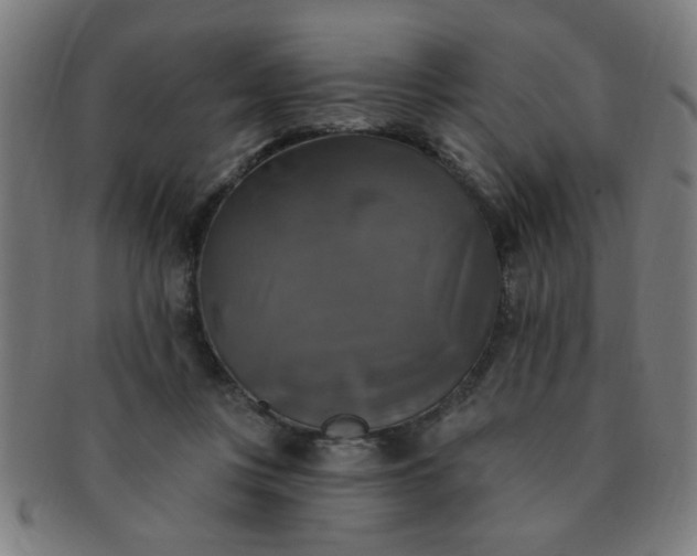 X0000091350359200708241252