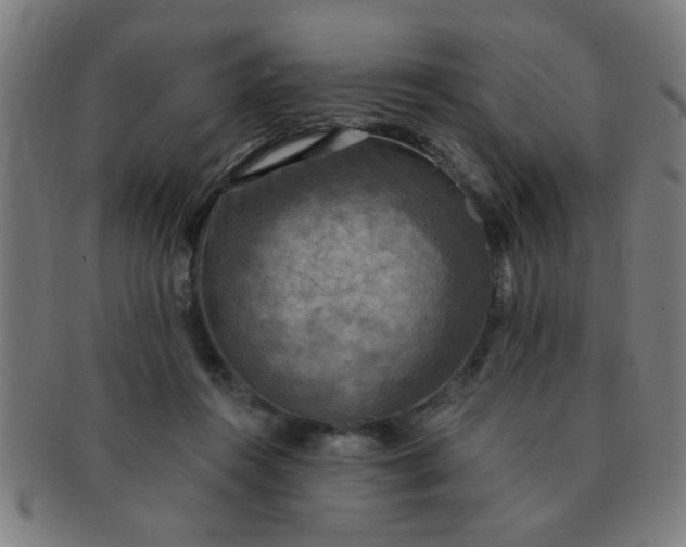 X0000091350360200708241252