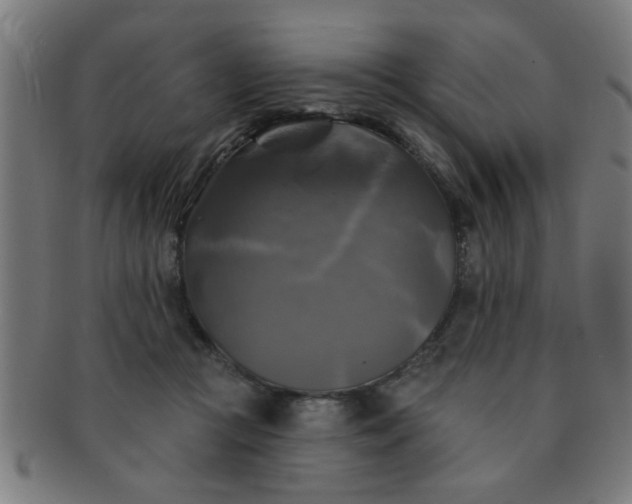 X0000091350361200708241252