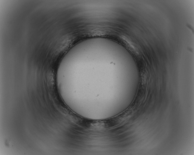 X0000091350362200708241252