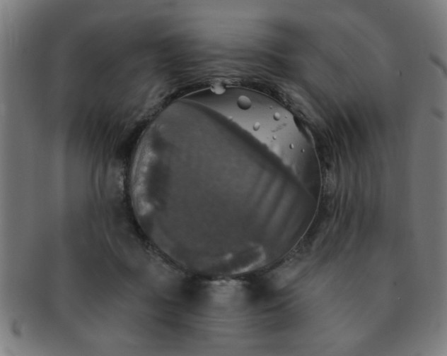 X0000091350363200708241252