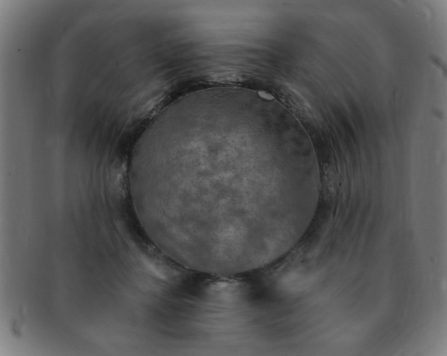 X0000091350364200708241252