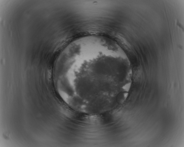 X0000091350365200708241252