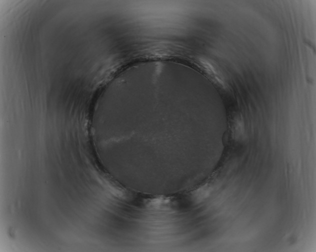 X0000091350366200708241252