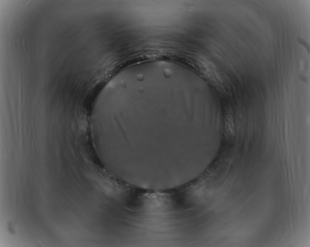 X0000091350367200708241252