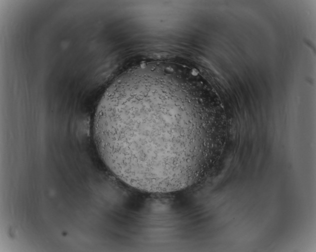 X0000091350368200708241252