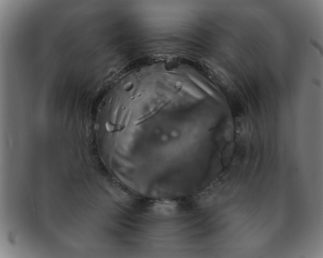 X0000091350369200708241252