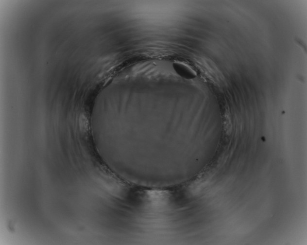 X0000091350371200708241252