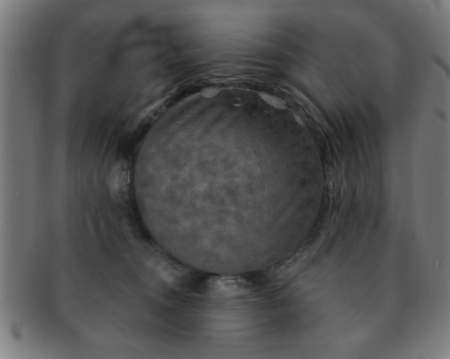 X0000091350372200708241252