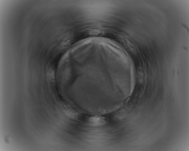 X0000091350375200708241252
