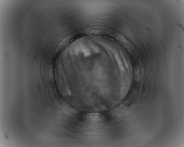 X0000091350377200708241252