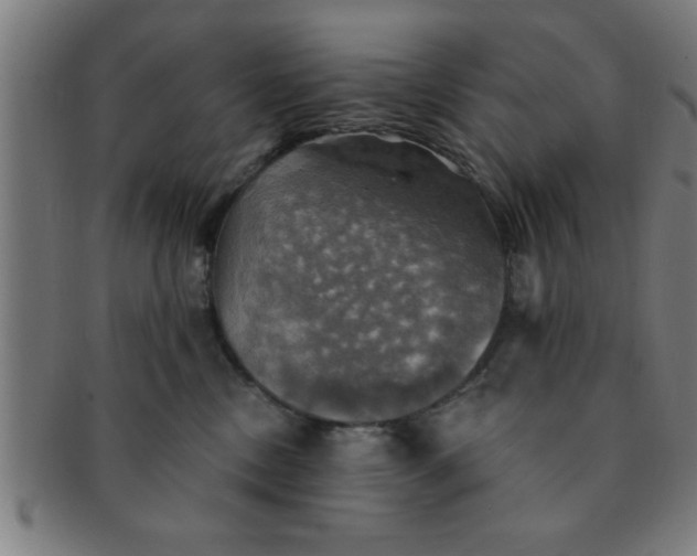 X0000091350378200708241252